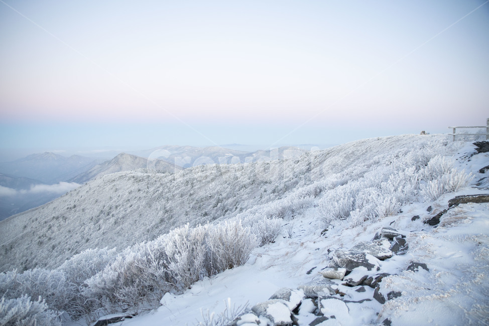 설산,태백산,겨울산,겨울,상고대,풍경,산,겨울풍경,눈꽃,mountain,nature,자연,겨울,계절,winter,season,자연,풍경,nature,landscape
