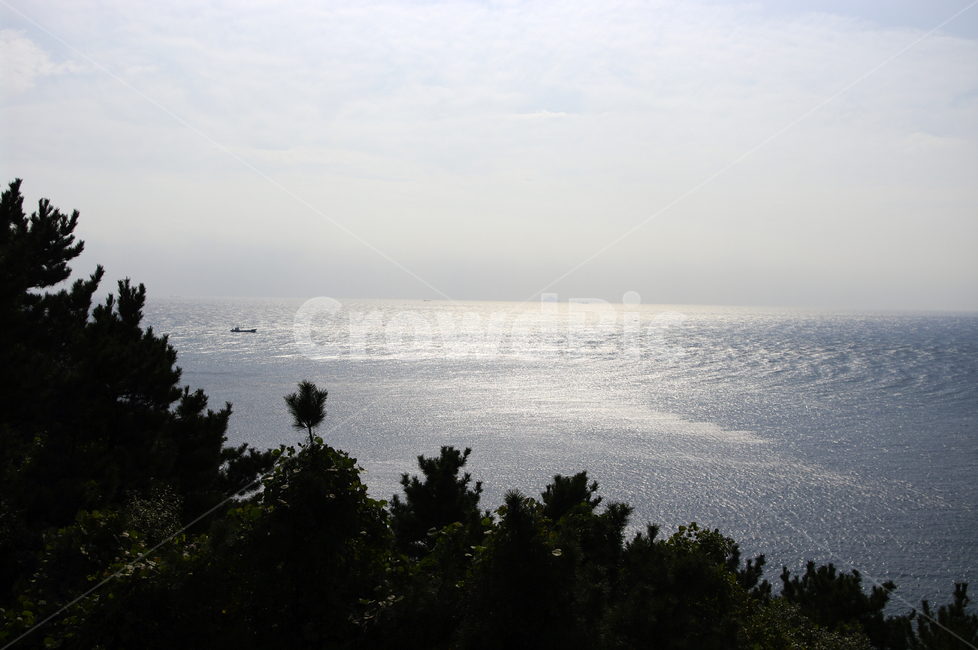 하늘,섬,바다,나무,풍경,자연,풍경,nature,landscape,tree,plant,식물,promontory,곶,fir,전나무