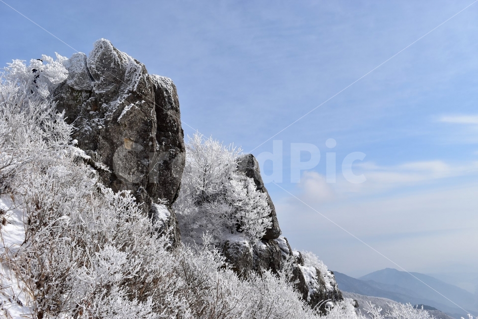 소백산,눈꽃풍경,상고대,겨울풍경,국립공원,겨울동화,눈풍경,파란하늘,100대명산,겨울명산,설경,서리꽃,영동,snow,landscape,기암,자연,풍경,nature,landscape,겨울,계절,winter,season,outdoors,옥외