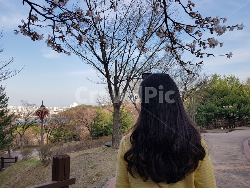 뒷모습,여자,가을,여행,사람