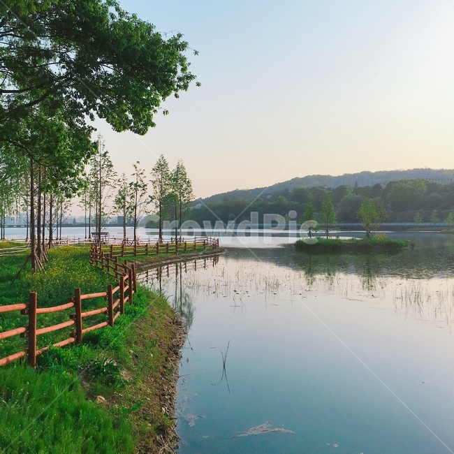 단대호수,호수,단대,풍경,감성,힐링,나무,구름,산,자연,풍경,nature,landscape,water,물