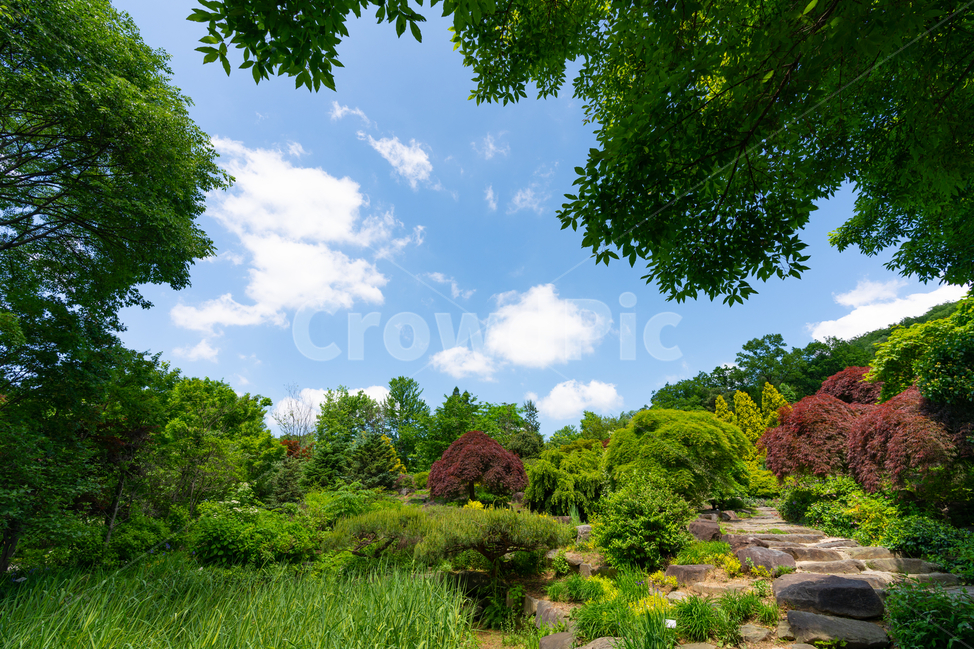 맑음,하늘,나무,푸르름,공원,숲,sky,tree,park,foreset,자연,풍경,nature,landscape,plant,식물,outdoors,옥외