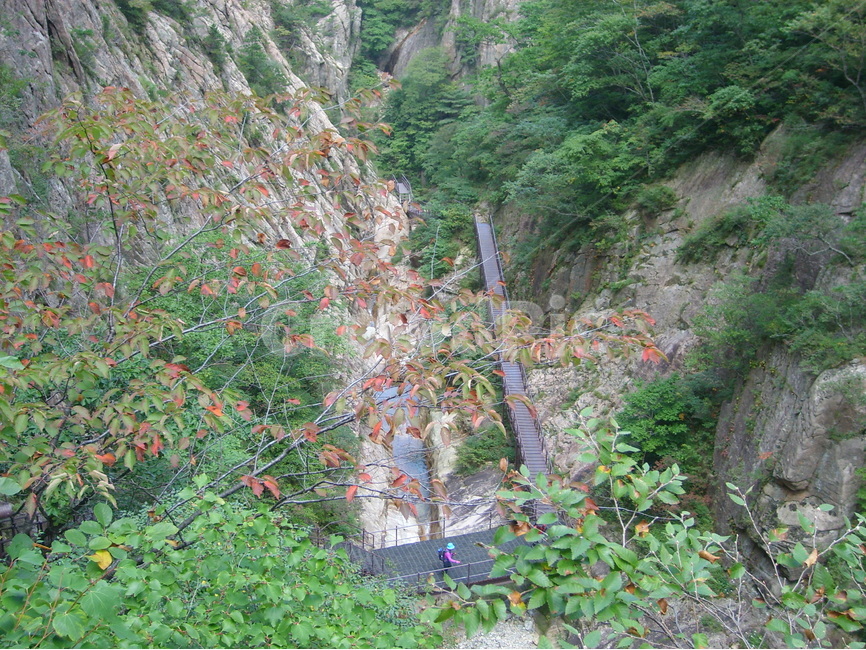산,설악산,나무,등산,바위,자연,풍경,nature,landscape,한국자연풍경,한국자연경관,korea nature landscape,outdoors,옥외,mountain