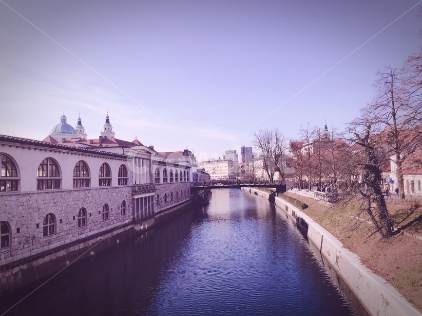 유럽,슬로베니아,류블랴나,다리,강,나무,도시,풍경,city,landscape,해외,외국,세계,foreign,oversea,world,세계도시풍경,해외도시풍경,외국도시풍경,world cityscape,water,물