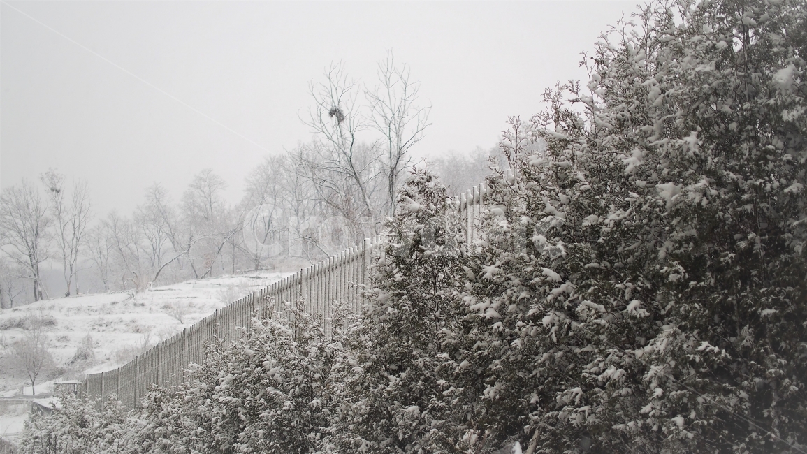 눈,겨울,숲,산,나무,자연,풍경,하얀색,white,winter,scenery,트리,감성,겨울,계절,winter,season,자연,풍경,nature,landscape,tree,plant,식물