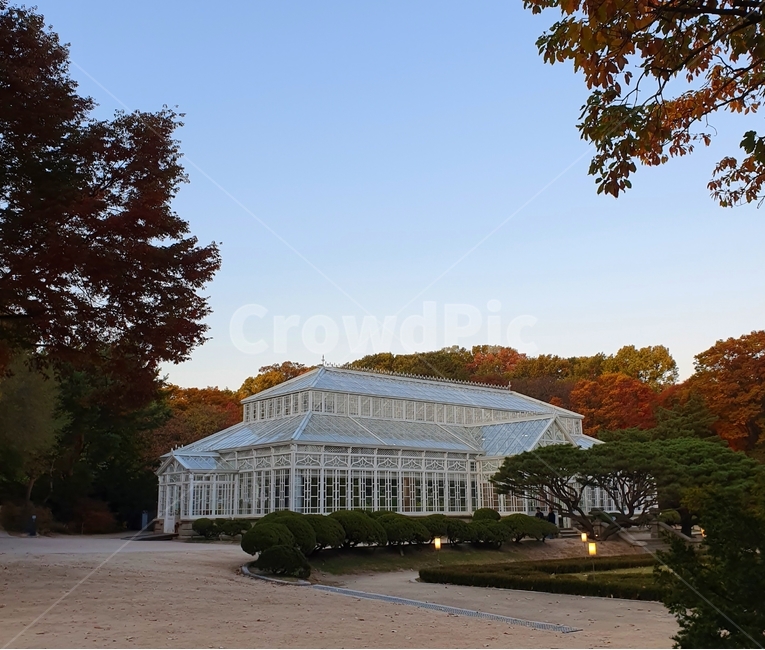 가을,단풍,창경궁,교정,힐링,산책,대온실,하늘,식물원,sky,plant,가을,계절,fall,autumn,season,campus
