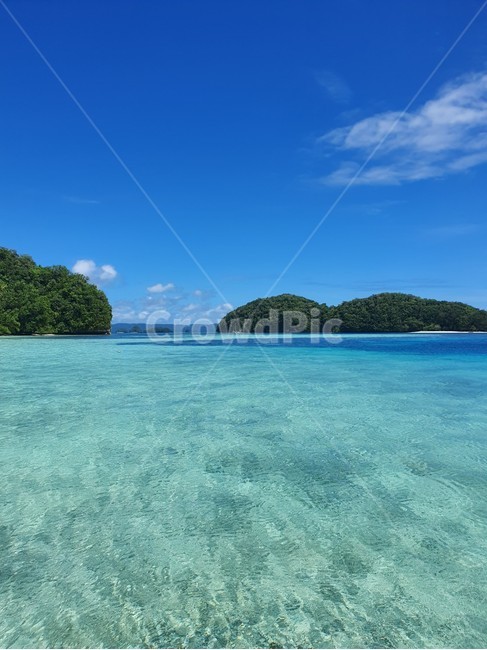 바다,sea,자연,물,팔라우,남태평양,water,자연,풍경,nature,landscape