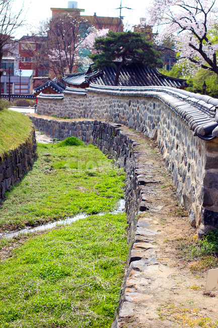 한옥,기와집,돌담,시냇물,봄,봄,계절,spring,season,한국전통,한국문화,korean traditional,korean culture,건축물,건물외관,exterior,building,structure,architecture,construction,outdoors,옥외