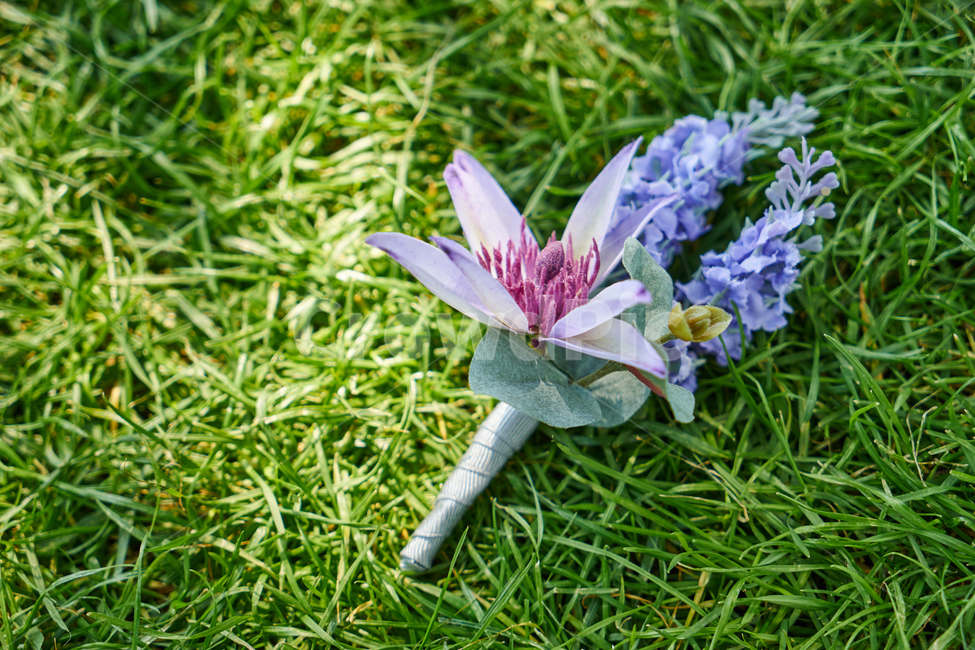 부케,꽃,정물,결혼,로맨틱,조화,식물,컬러풀,숲,공원,녹색,자연,꽃,flower,결혼,혼례,웨딩,wedding,marriage,marry,기념일,축하,anniversary,congratulation,celebrate,celebration