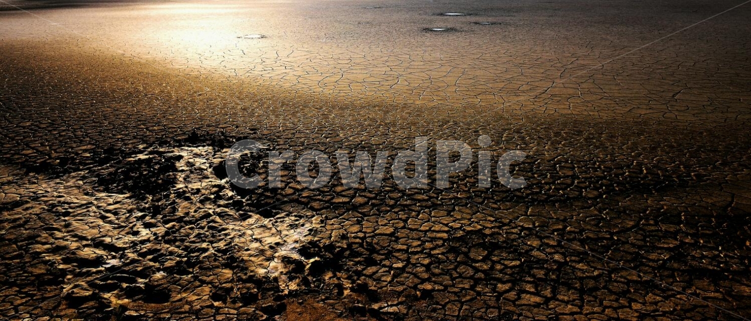 운염도,갈라짐,일출빛,인천,바다,자연,풍경,nature,landscape,soil,흙,ground,바닥