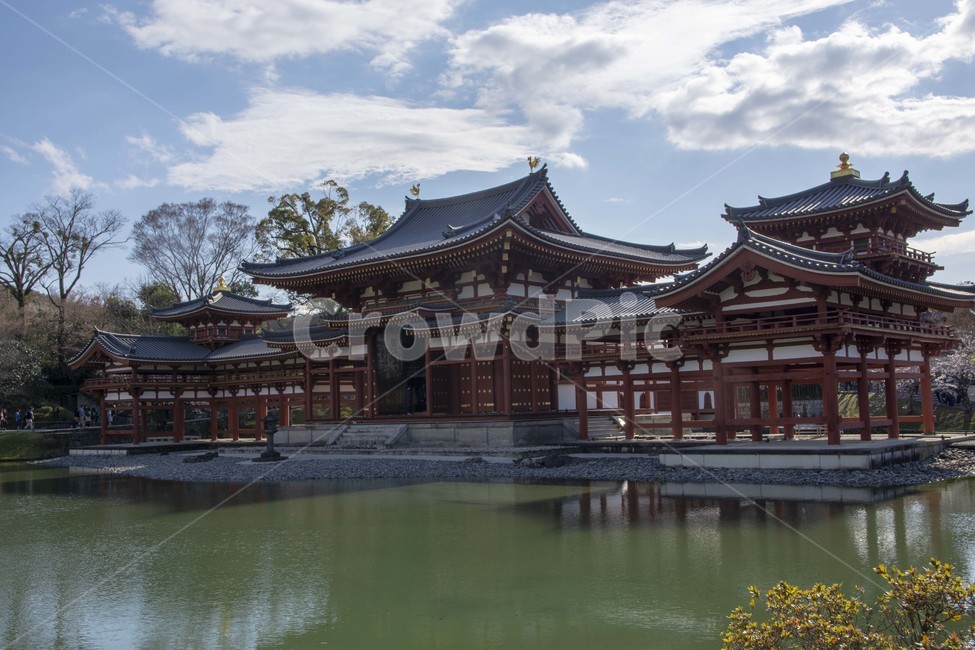 architecture,건축물,building,건물,뵤도인,water,pond,물,연못