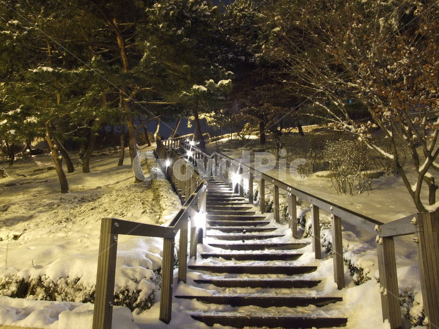 설경,야경,계단,불빛,겨울,겨울,계절,winter,season,야경,밤,풍경,nightscape,night,landscape,banister,난간,handrail