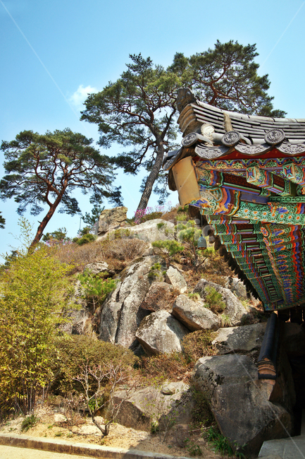 단청,처마,자장암,통도사,말사,산내암자,산사,사찰,자장동천,영축산,암자,자장율사,금와보살,한국전통,한국문화,korean traditional,korean culture,건축물,건물외관,exterior,building,structure,architecture,construction