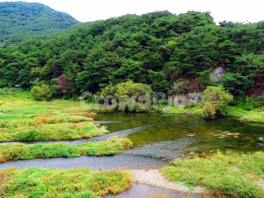 nature,자연,water,물,outdoors,옥외,land,야외,경상북도,청도군,청도천,하천,강,나무,숲,산,바위,암석,절벽,초록색,언덕,식물,하늘,흐린,환경