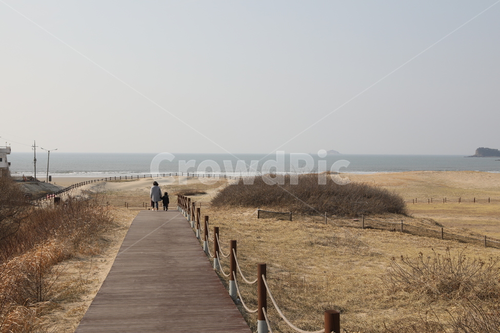 겨울,사랑,mother,엄마,아련한,바다,해안,산책,모심,추억,뒷모습,모래사장,육아,love,winter,care,모자