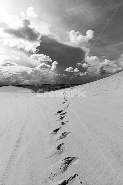 베트남,무이네,화이트샌듄,모래언덕,사막,sand,nature,desert,자연,풍경,nature,landscape,세계자연풍경,해외자연풍경,외국자연풍경,world nature landscape,흑백,모노톤,monochrome,black and white,soil,흙,모래,outdoors,옥외