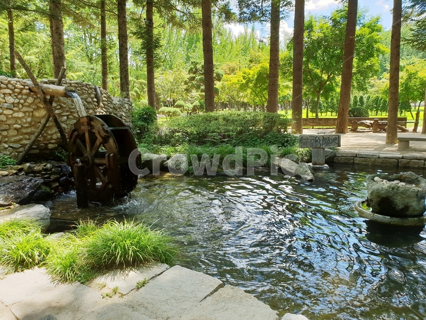 자연,숲,여름,물,물레방아,자연,풍경,nature,landscape,water,outdoors,옥외