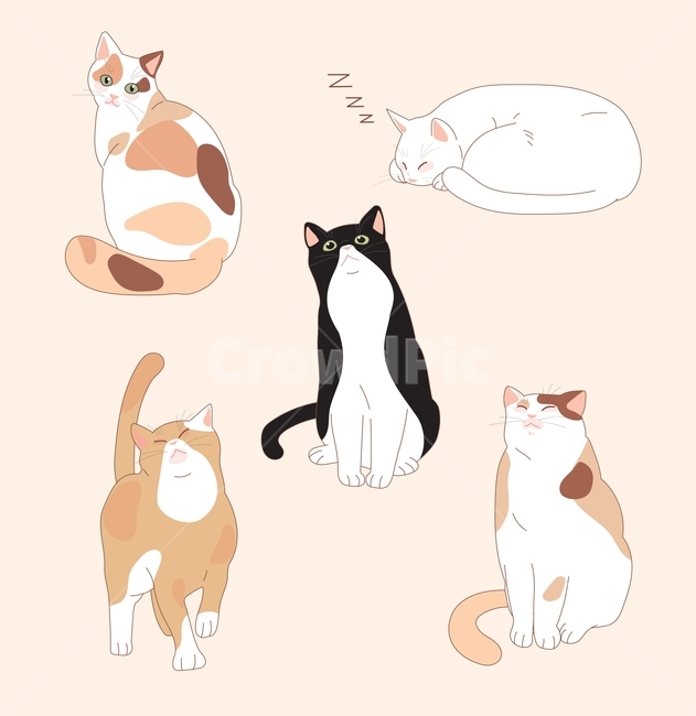 고양이,동물,일러스트,귀여운,손그림,라인,일러스트레이션,벡터,얼룩무늬,삼색,흰색,하얀,턱시도,검은,걷는,여러가지,다양한,포유류,mammal,고양이,cat,kitten,kitty,그래픽,일러스트레이션,graphic,illustration
