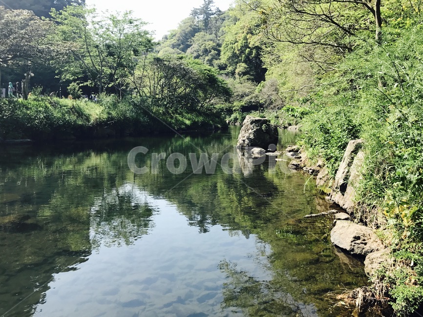water,물,outdoors,옥외,nature,자연,자연,풍경,nature,landscape