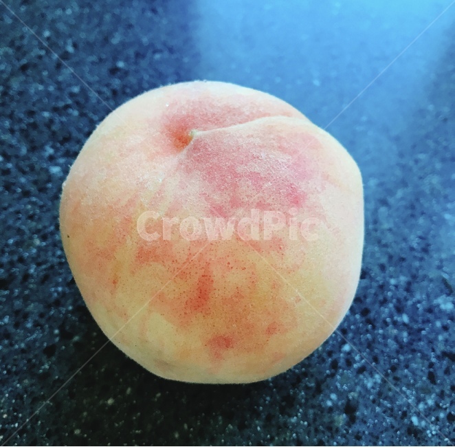 복숭아,백도,황도,털복숭아,피치,peach