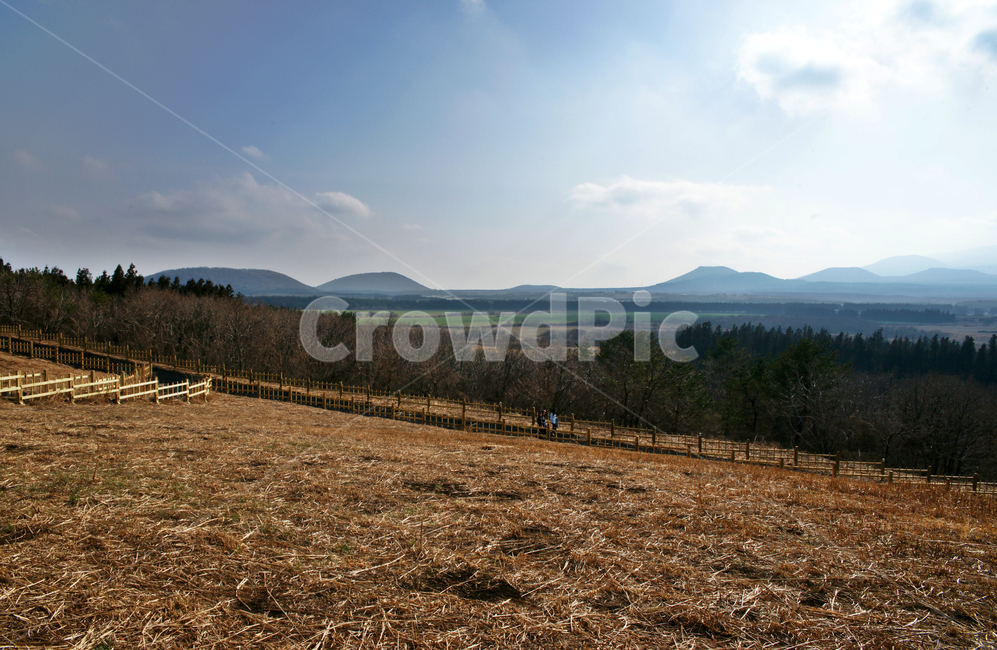 산굼부리,제주,관광지,천연기념물제263호,굼부리,마르,언덕,폭렬화구,오름,자연,풍경,nature,landscape,제주도,jeju,jeju island,ground,바닥,outdoors,옥외