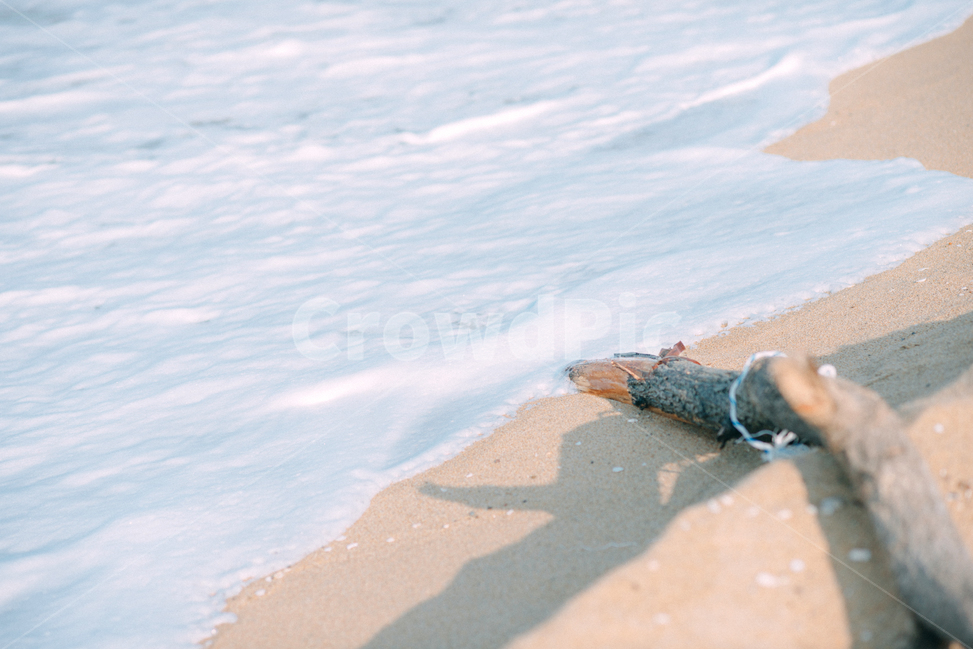 바다,동해,동해바다,수평선,해변,파도,해변,바다,beach,sea
