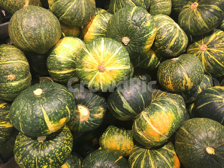 plant,식물,food,음식,produce,호박,미니호박,작은호박,초록색호박,단호박,greenpumpkin,pumpkintexture,pumpkin,bluepumpkin,minipumpkin,vegeterian,ingredient,건강한,식재료,fresh,신선한,음식,식재료,요리,food,cook,meal,dishes,food reserves,채소,야채,vegetables