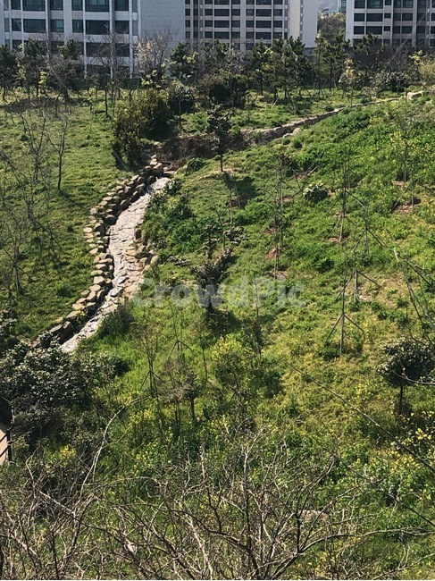 시냇물,숲,풀잎,나무,꽃,연못,자연,풍경,nature,landscape,outdoors,옥외