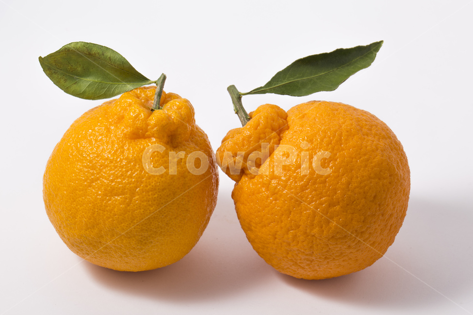 mandarin,orange,leaves,fruit,Hallabong,Orange,vitamin,tangerines