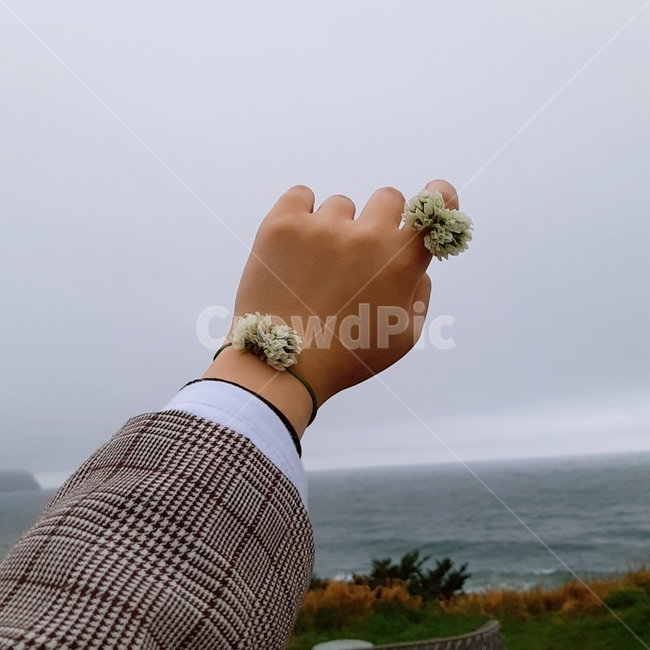 손,꽃,꽃반지,하늘,바다,감성,사람,여성,봄