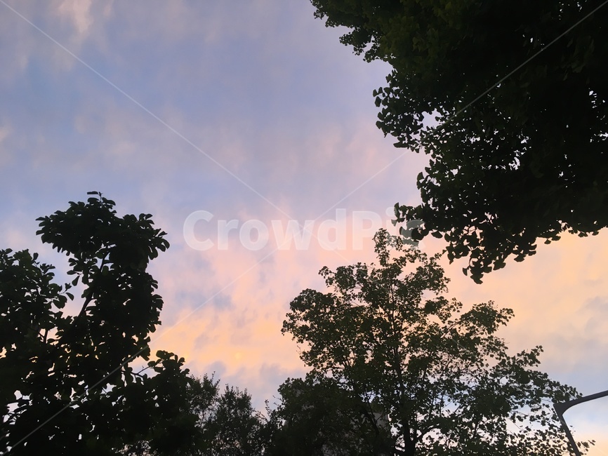 자연,옥외,하늘,sky,outdoors,nature