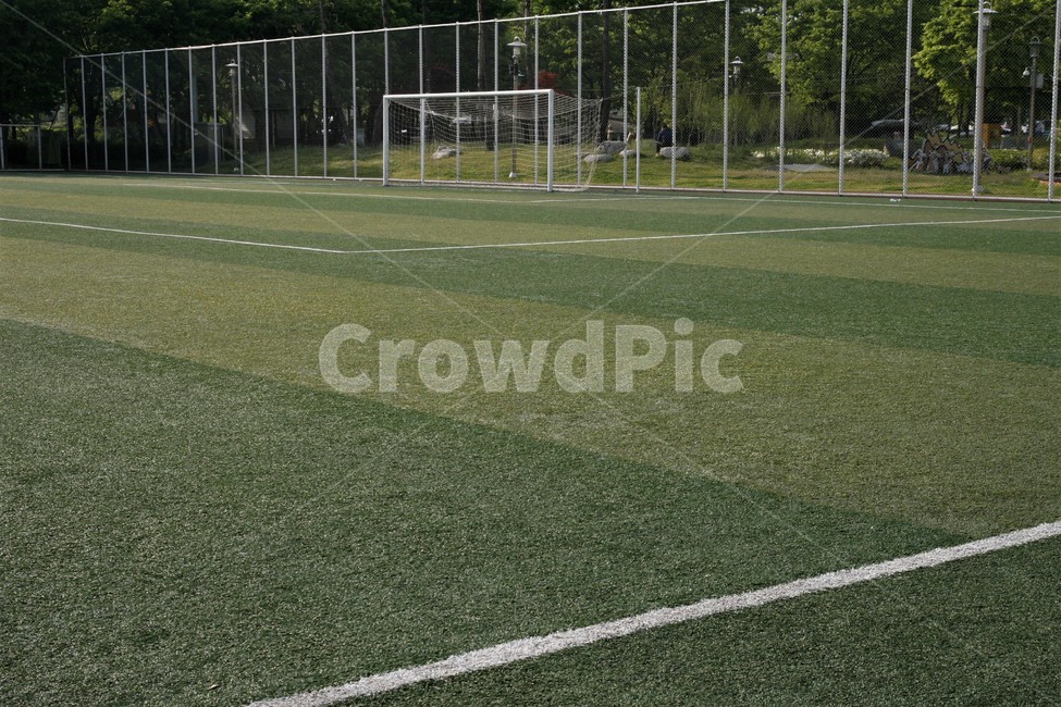 체육,공원,축구,구장,잔디,골대,라인,스포츠,레저,운동,sports,leisure,exercise