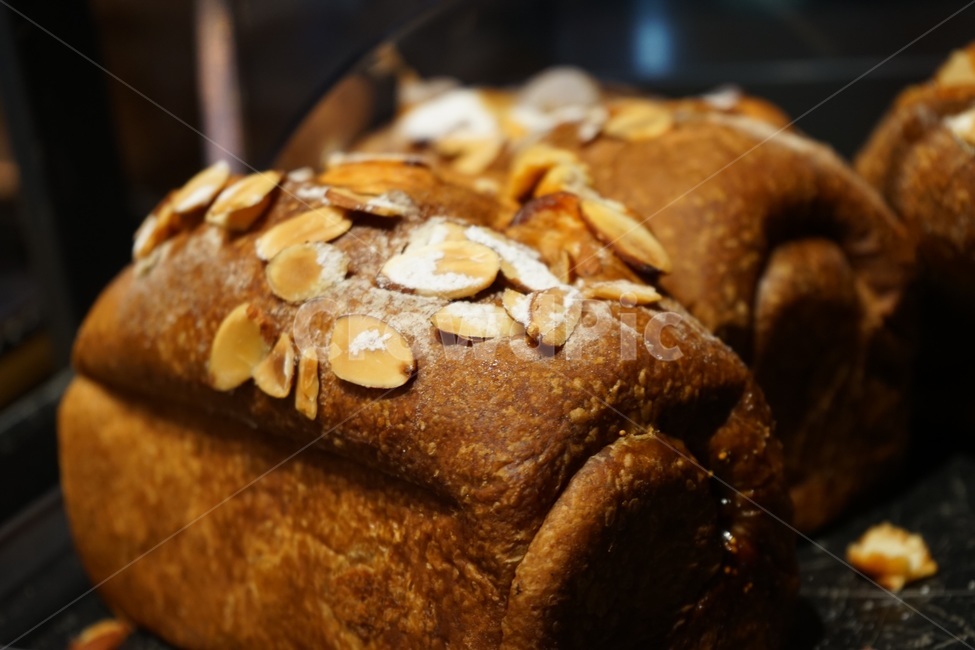 빵,제빵,음식,식재료,요리,제과제빵,간식,후식,건강빵,디저트,food,meal,bread,cook,dessert,snack,foodreserves,음식,식재료,요리,food,cook,meal,dishes,food reserves,빵,bread
