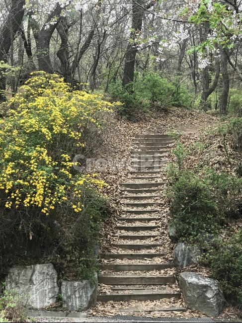계단,산책길,휴식,평온함,인생