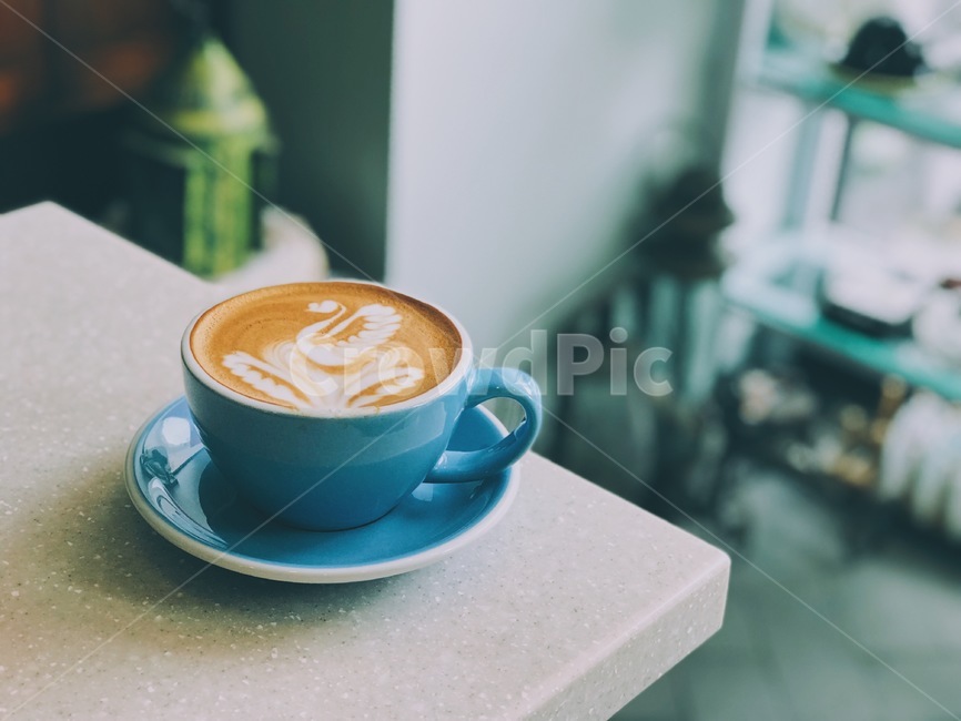 커피,카페라떼,라떼아트,coffee,latteart