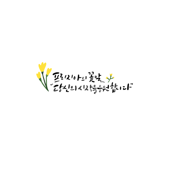프리지아,응원,캘리그라피,꽃말,프리지아꽃말,졸업,입학,캘리그라피,손글씨,calligraphy
