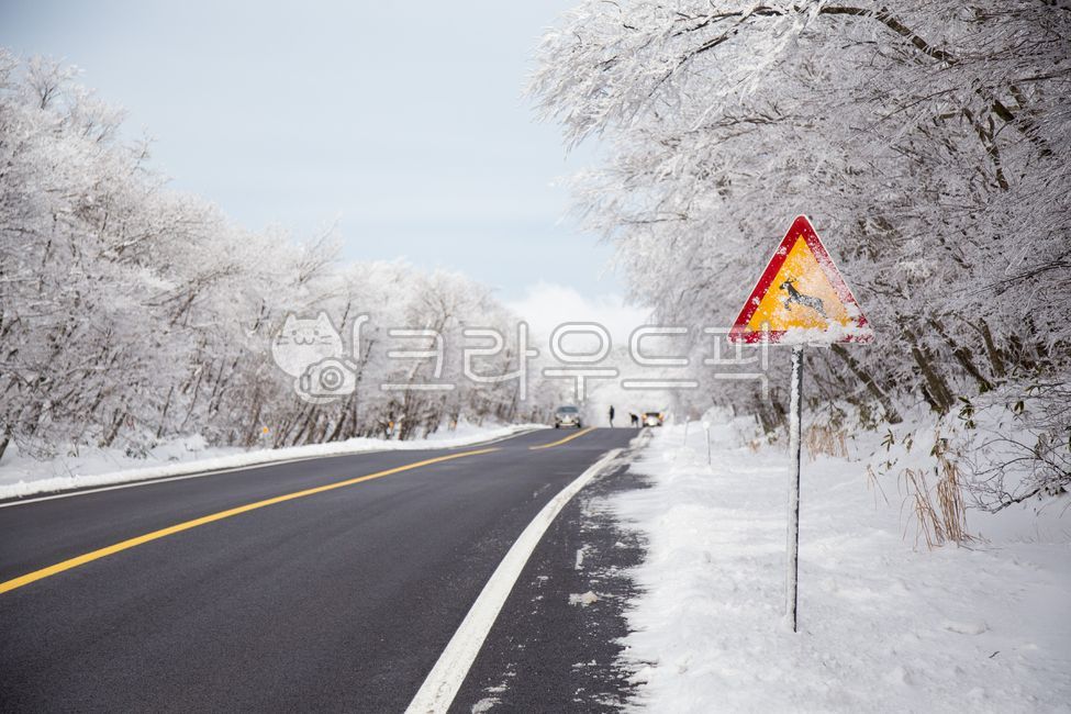 도로,눈,눈길,1100,1100도로,한라산,한라산눈