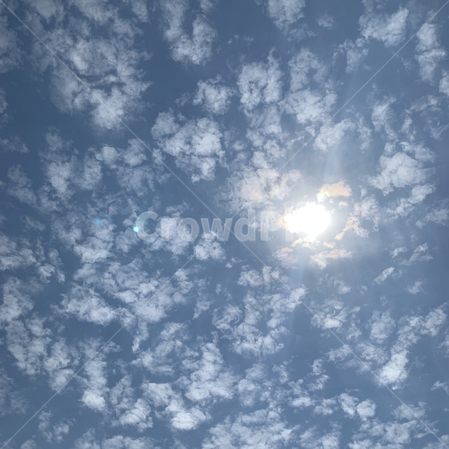 구름,하늘,낮,해,아침