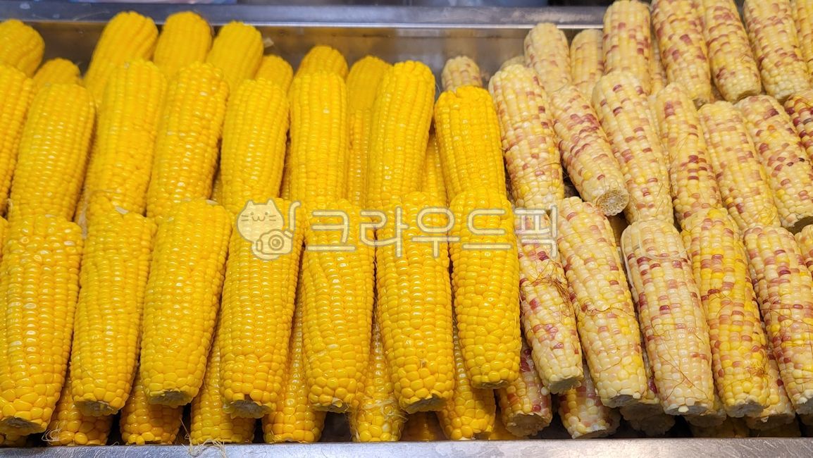 옥수수, corn, 삶은옥수수, 찐옥수수, 곡식, 사진,이미지,일러스트,캘리그라피 - BUSAN OPPA작가