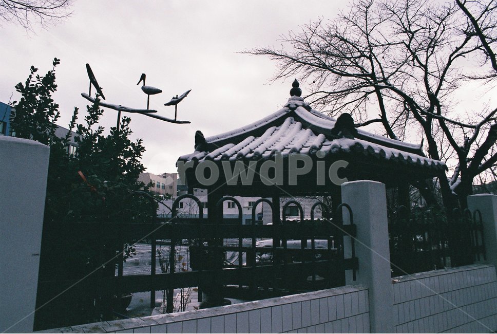 눈온날,경찰서앞,눈,기와집,솟대,겨울,계절,winter,season,건축물,건물외관,exterior,building,structure,architecture,construction