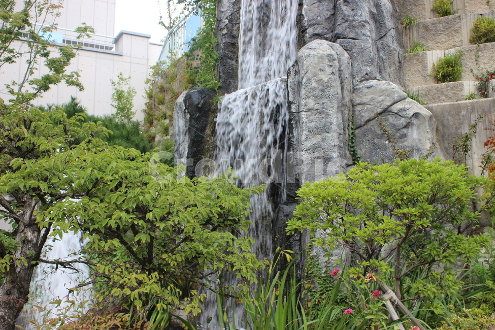outdoors,river,water,nature,물,강,옥외,자연,폭포,나무,tree,바위