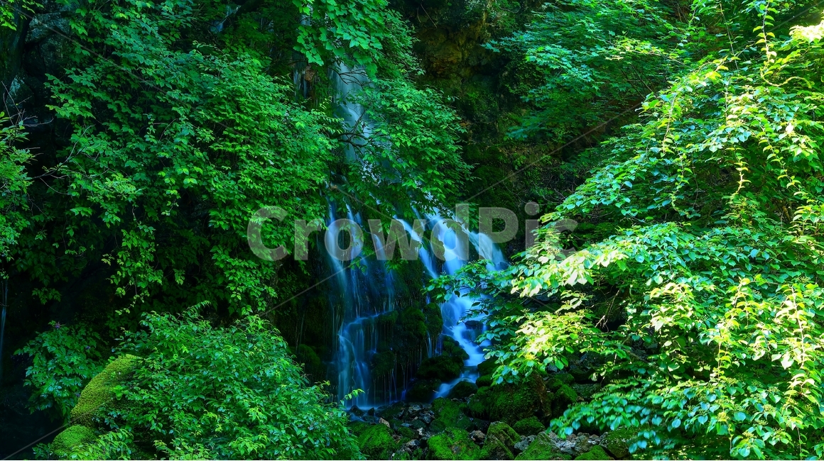 계곡,무건리,이끼,육백산,폭포,자연,풍경,nature,landscape,river,강,water,물,outdoors,옥외,waterfall