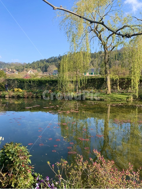 nature,자연,water,물,outdoors,tree,나무,plant,식물