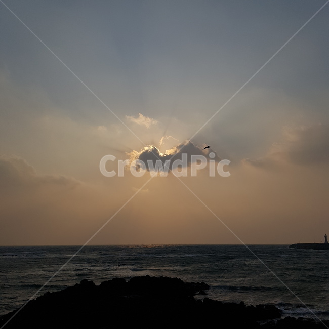 일몰,해질녁,갈매기,구름,바다,제주도,자연,풍경,nature,landscape,light,빛,flare,플레어,sunlight,햇빛