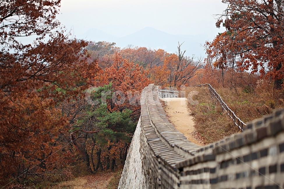 남한산성,성,성곽,단풍,낙엽,길,둘레길,숲,숲길,담돌담,가을,자연,풍경,벽,울긋불긋,산성,식물,가을,계절,fall,autumn,season