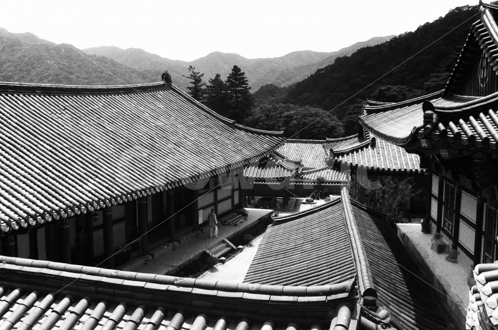 합천해인사,해인사,사찰,절,스님,흑백사진,랜드마크,landmark,tourist attraction,한국전통,한국문화,korean traditional,korean culture,종교,신앙,religion,belief,faith,흑백,모노톤,monochrome,black and white