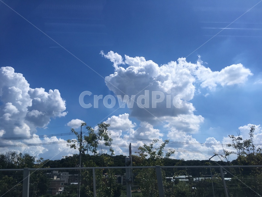 하늘,파란색,나무,구름,여름하늘,뭉게구름,자연,풍경,nature,landscape,outdoors,옥외,weather,날씨,sky,cumulus,적운,cloud