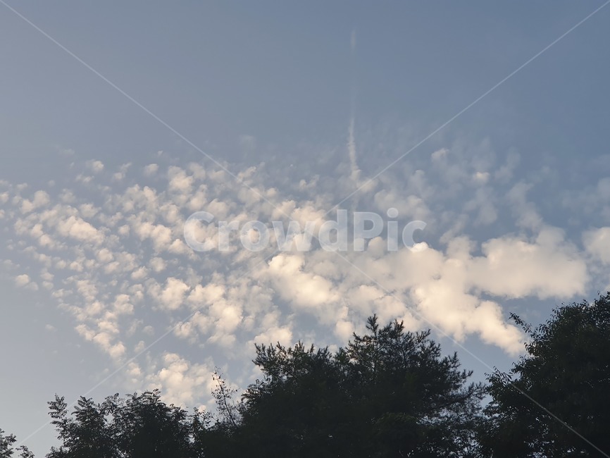 nature,outdoors,자연,cloud,옥외,구름,sky,하늘,cumulus,weather,날씨,적운,자연,풍경,nature,landscape