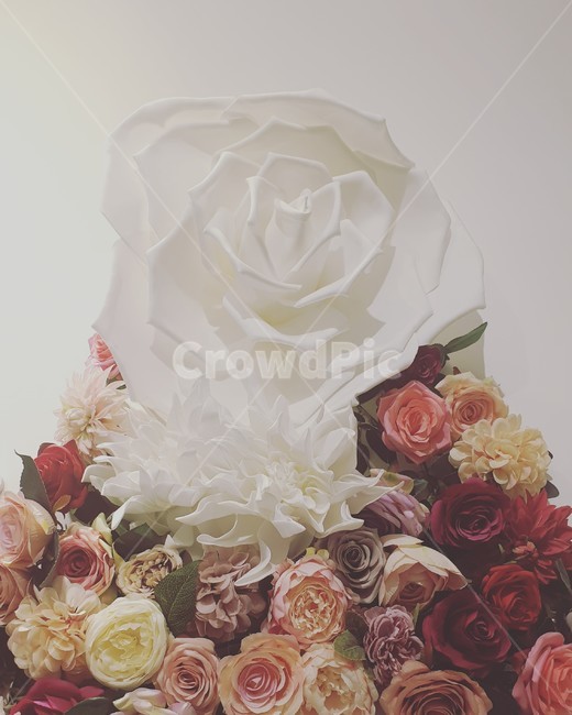 plant,식물,blossom,flower,꽃,flowerbouquet,꽃부케,꽃꽂이,flowerarrangement