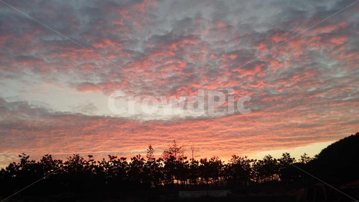 분홍색,구름,새벽,하늘,다대포,자연,풍경,nature,landscape,outdoors,옥외,sunset,일몰,red sky,붉은 하늘,sky,dusk,황혼,dawn
